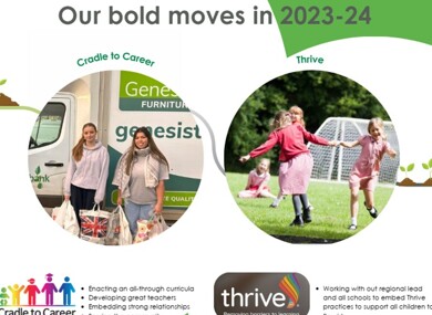 Bold Moves website