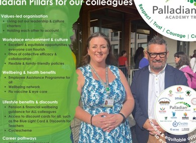 Colleague pillars, Aug 2025  (1)