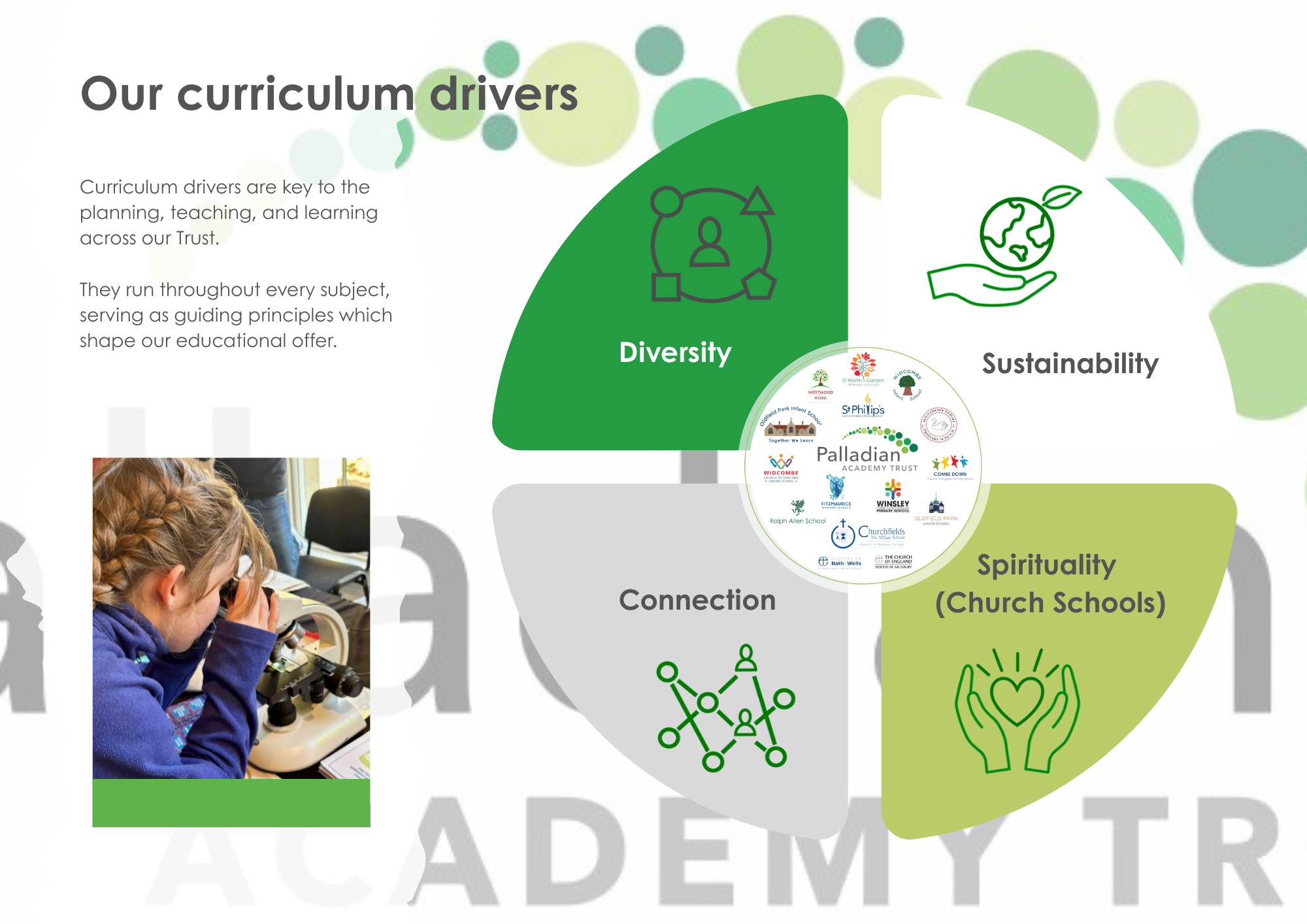 Ed Ex Curriculum drivers